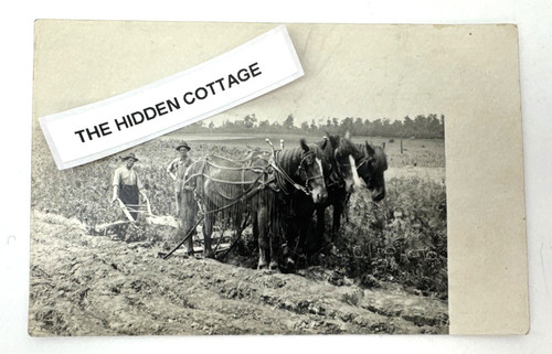 Vtg rppc farmers plowing - rppc,