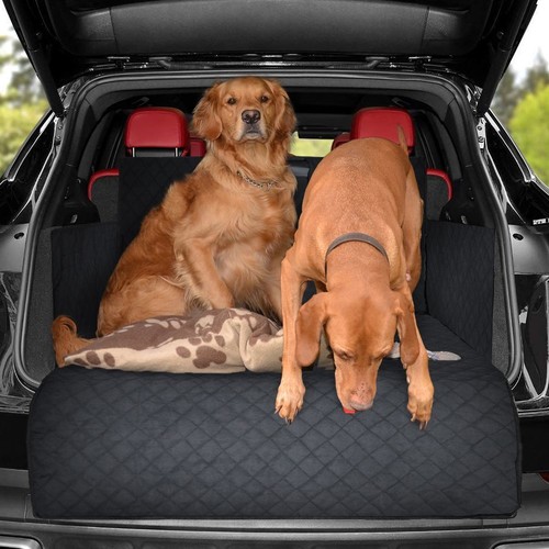 Extra large dog car - dog,