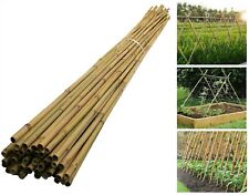 2ft to 7ft Large Bamboo Canes Strong Heavy Duty Garden Plant Support Thick Pole