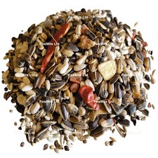 MACAWS & AFRICAN GREY PARROT