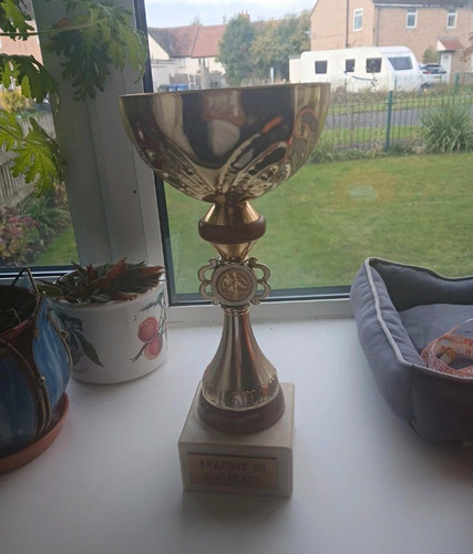 Gold metal trophy - metal, cup