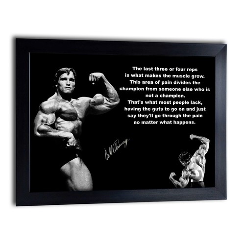 Arnold schwarzenegger inspired - arnold,