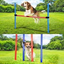 Dog Agility Slalom Training