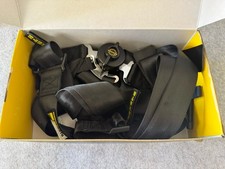 Schroth 6-point Harness -