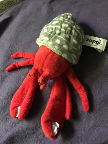 Hermit crab soft - hermit,