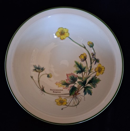 Enoch wedgwood florabunda - enoch,