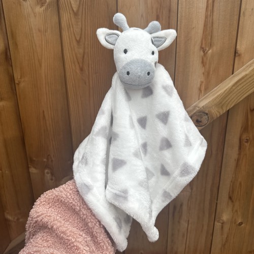 Early days giraffe - giraffe, cow