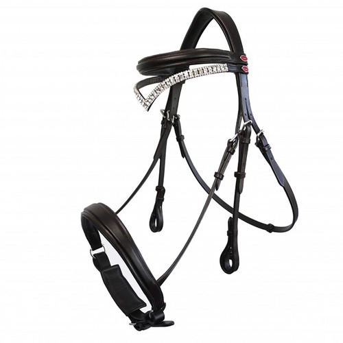 John whitaker horse lynton - whitaker,