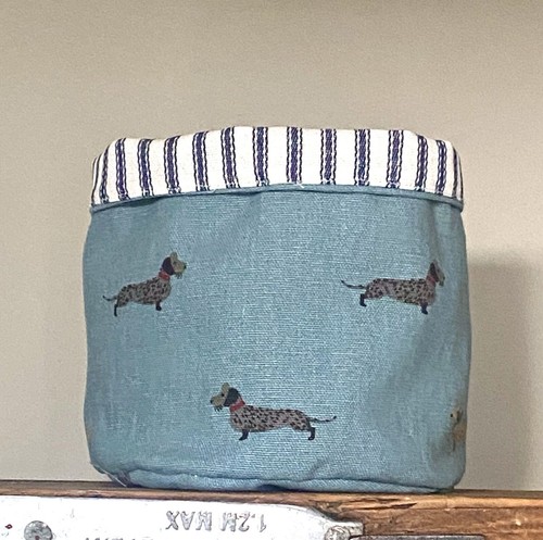 Sophie allport dachshund - sophie,