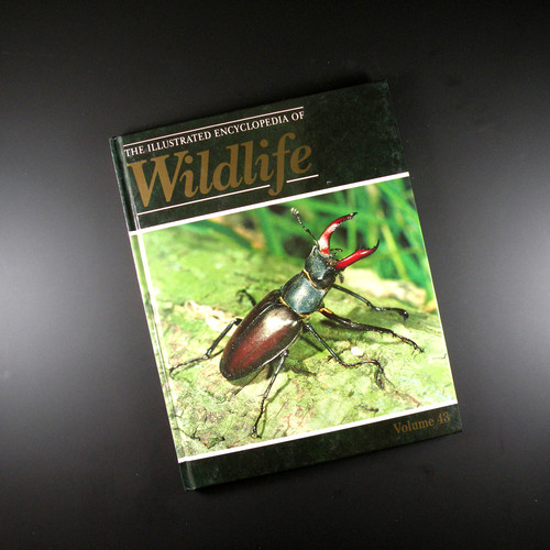 The illustrated encyclopedia - illustrated,