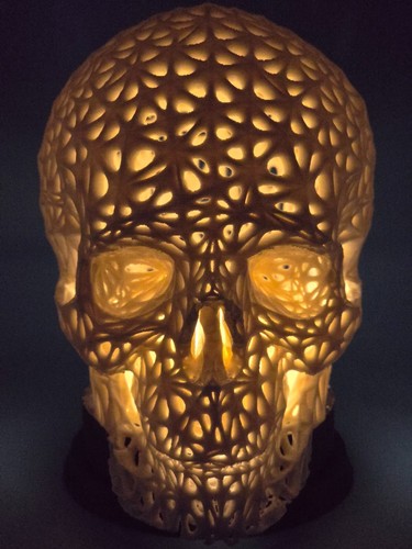 Intricately patterned skull - patterned,