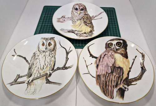 Set owl crown - of,