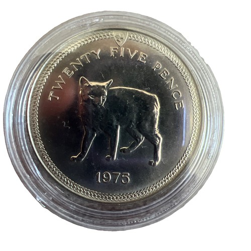 1975 isle man pence coin - 1975,