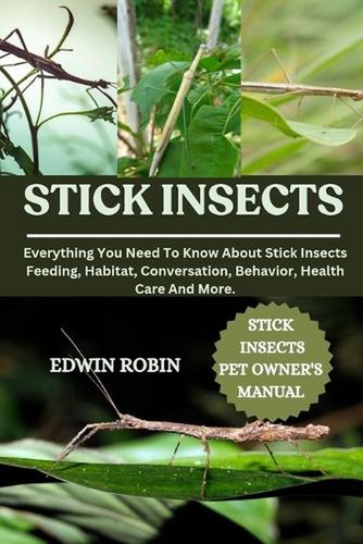 Stick insects everything you - insects:,