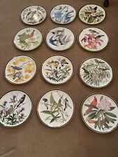 Wedgwood Vintage Complete Set of The 12 Bird Songbirds of The World Large Plates