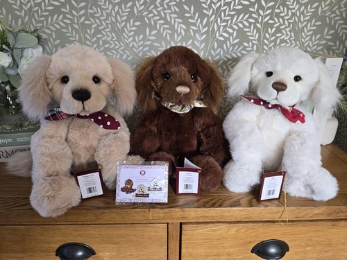 Charlie bears puppy love - charlie,