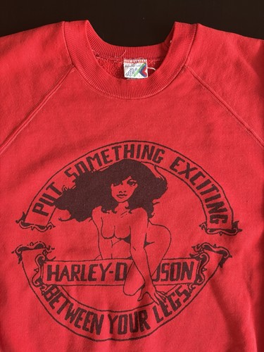 Vtg 1970s harley davidson put - 1970s,