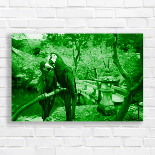 Blue gold macaw - macaw, canvas