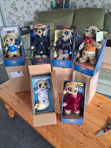 Compare the meerkat boxed - compare,