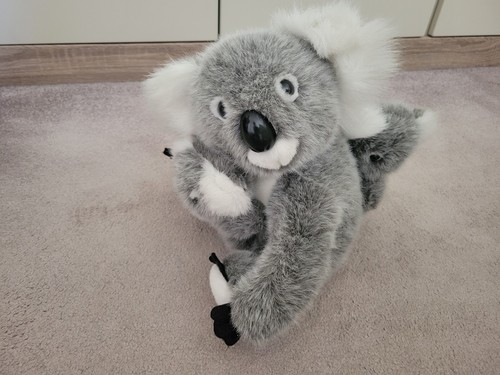 Koala bear soft toy - x,