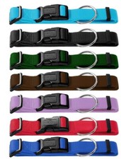 HUNTER FOR DOGS ECCO SPORT