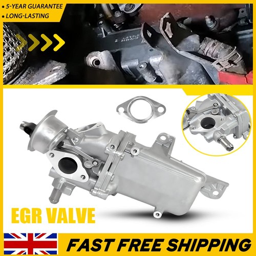 New egr valve - valve, cooler