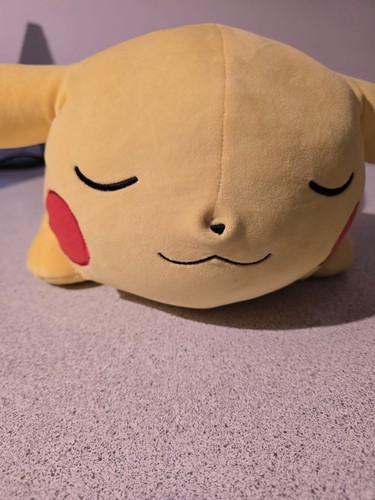 Pokémon Pikachu Sleeping?