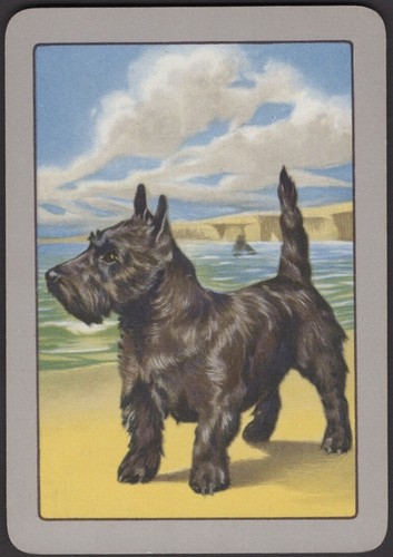 Playing cards single card - single,