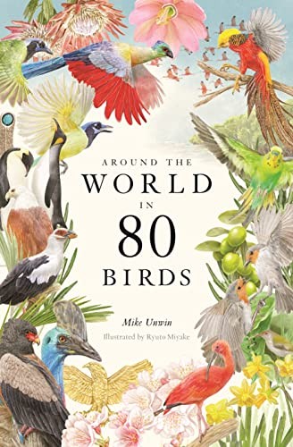 Around the world - around, birds