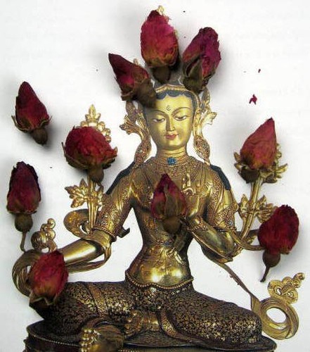 200 tibetan dried red rose - red,