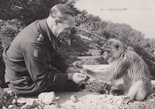 Ww2 british soldier photo - british,