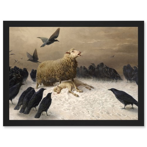 Schenck anguish sheep - schenck, ewe