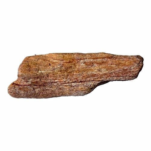 Rare raptor - 8g, “raptor”