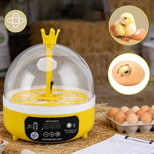 Egg incubator hatcher digital - egg,