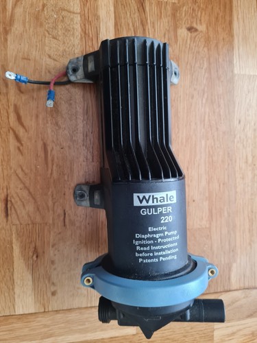 Whale gulper shower pump 24v - gulper,