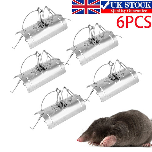 Mole traps tunnel - mole,