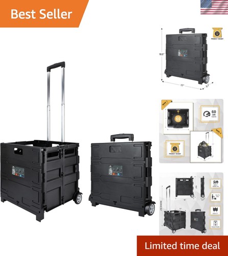 Compact 010 grand - 85-010,