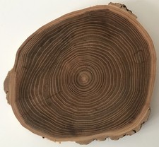 Tree Slice Coasters | Trivet
