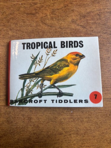 1965 bancroft tiddlers booklet - 1965,
