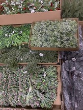 15x Christmas Greenery Berry