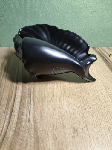 Poole pottery conch - poole, shell