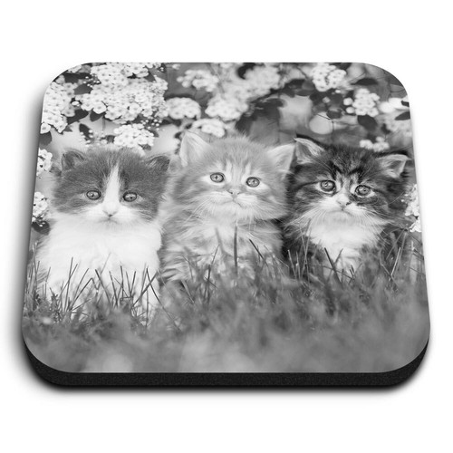 Square mdf magnets - square,
