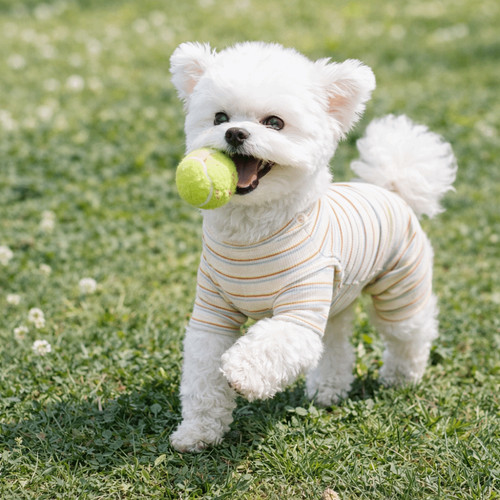 Soft pet bottoming shirt - soft,