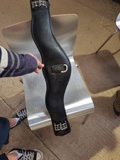 Collegiate Anatomic Dressage