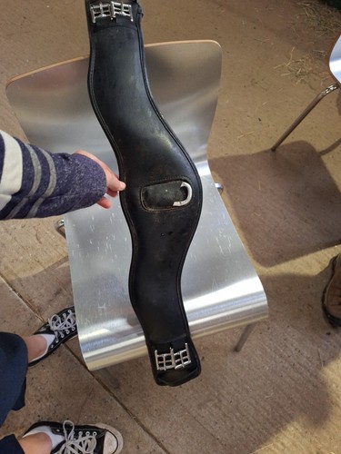 Collegiate anatomic dressage - collegiate,
