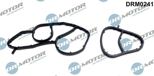 Fits motor drm0241 - dr., seals