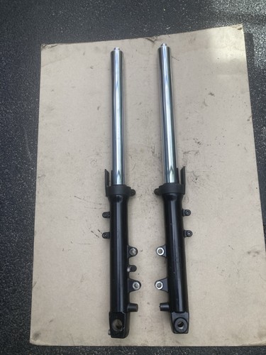 Triumph tt600 speed - tt600/speed, forks