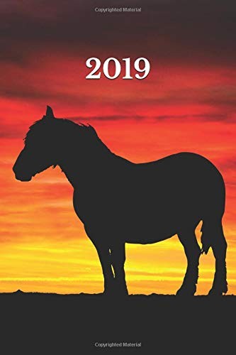 2019