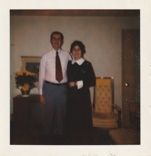 Vintage 1970s polaroid - vintage,