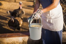 5L Storage Bucket Plastic with